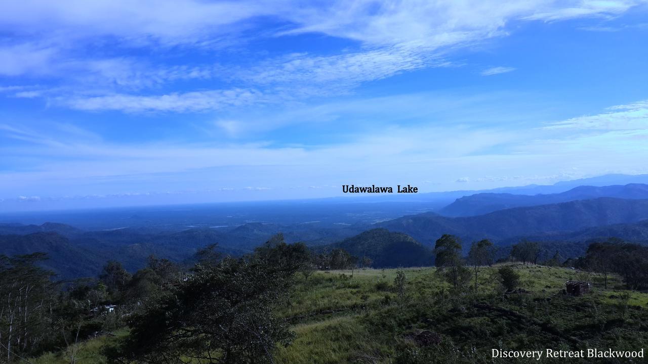 Discovery Retreat Blackwood ハプタレー エクステリア 写真